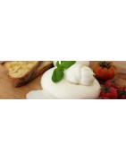 Burrata Caseificio Foscarini. Buona, dolcissima e fresca.